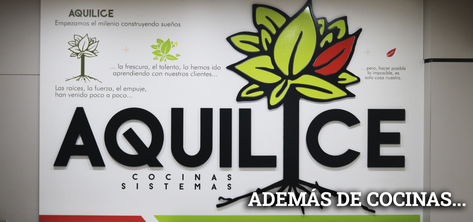 SLIDER3texto
